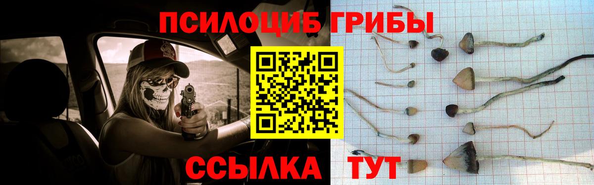 Галлюциногенные грибы мухоморы  Вход с VPN  Псилоцибиновые грибы Psilocybe  Канаш 